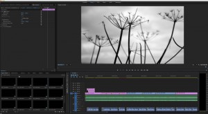 Premiere Pro