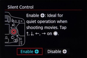 Canon EOS-1D X Mark II Video Options