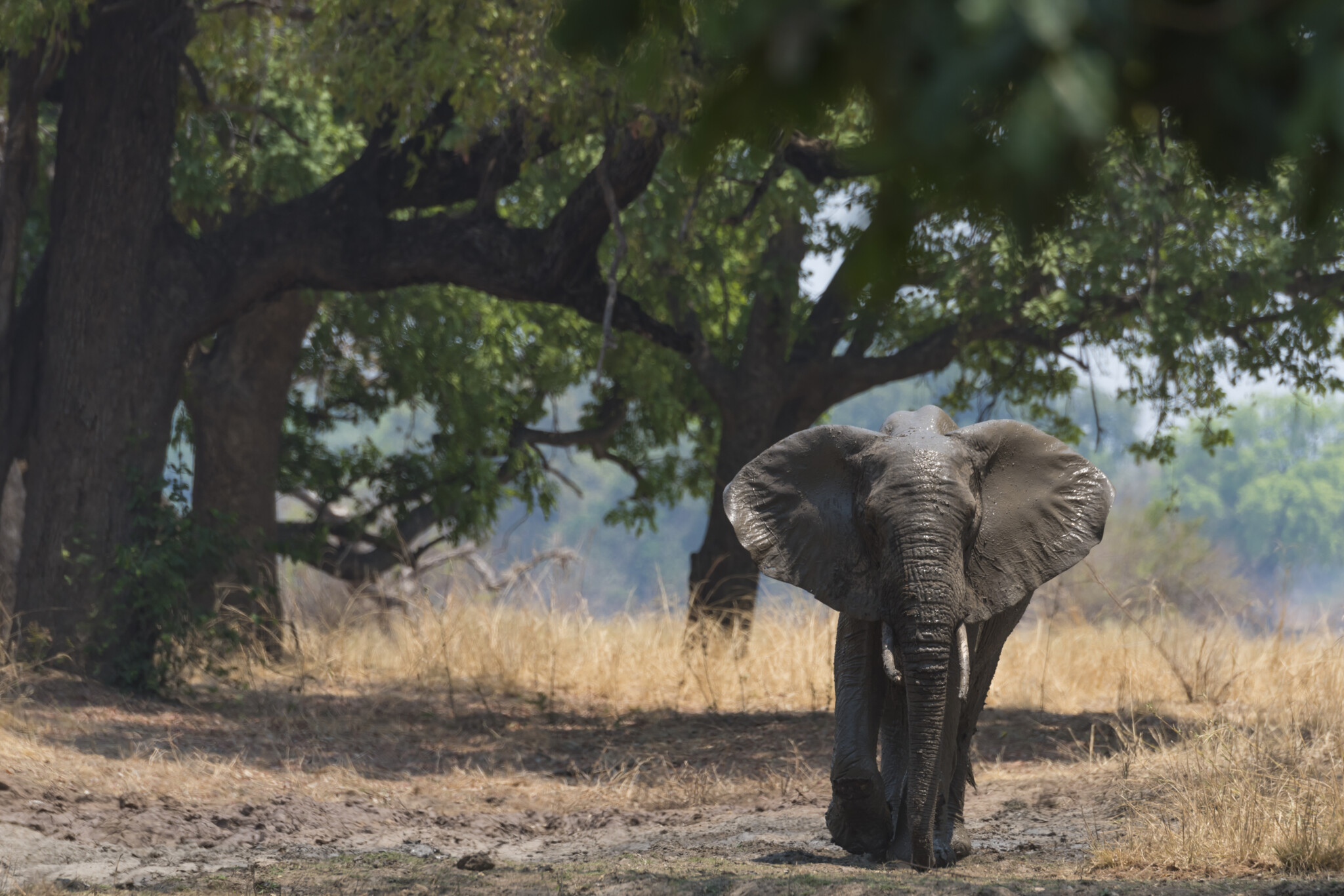 Chris Breen | Drone Shooting in Zambia