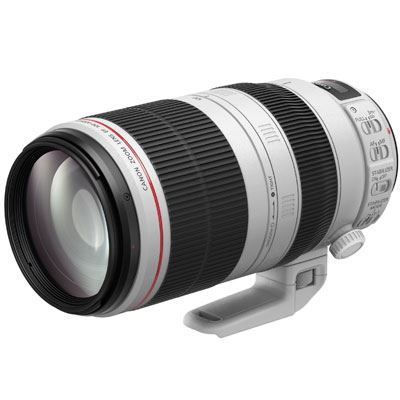 Canon EF 100-400mm f4.5-5.6 L IS II USM