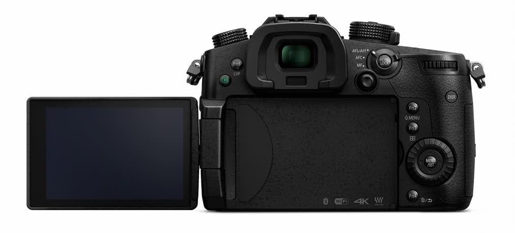 Reis Retentie vergroting Fujifilm XH1 versus Panasonic Lumix GH5 for video | Fixation