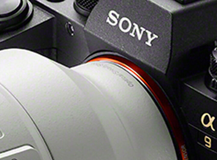 Close up | Sony a9 focus modes image