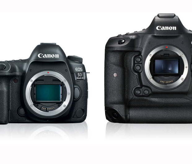 Canon EOS 5D Mark IV versus Canon EOS-1D X Mark II for video image