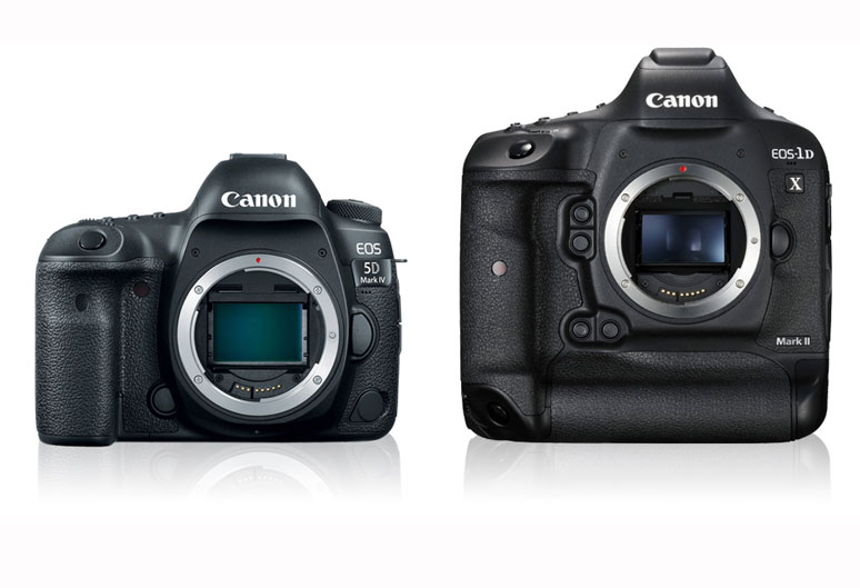 Canon EOS 5D Mark IV versus Canon EOS-1D X Mark II for video image
