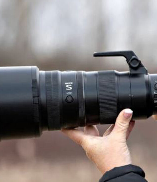 The Nikon Z 400mm f4.5 VR S Lens