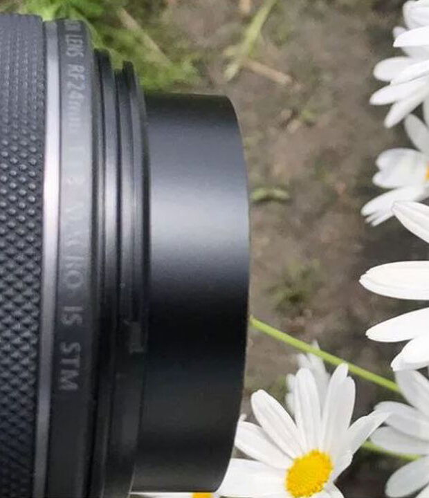 Canon RF 24mm f1.8 Macro IS STM image with flowers