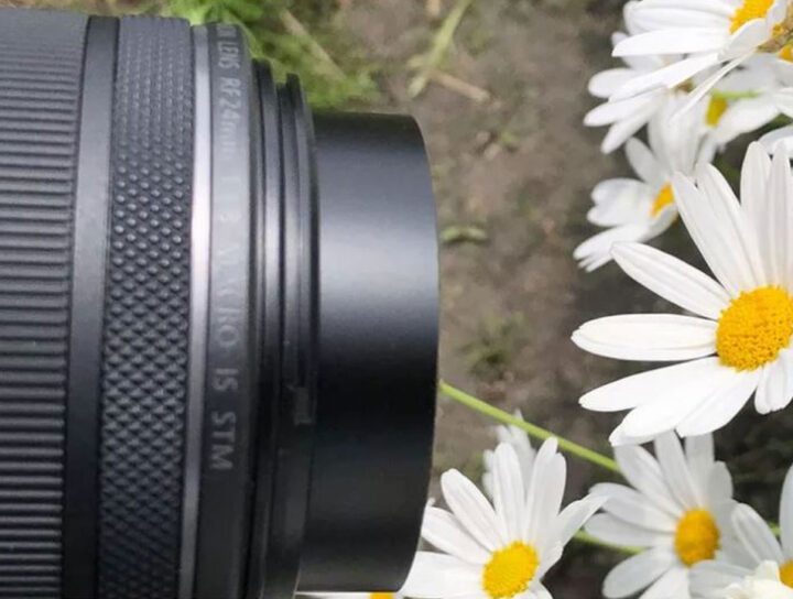 Canon RF 24mm f1.8 Macro IS STM image with flowers