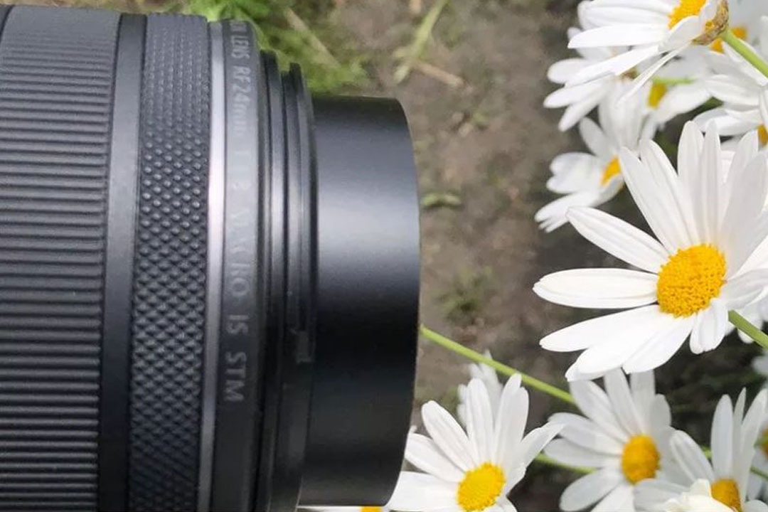 Canon RF 24mm f1.8 Macro IS STM image with flowers